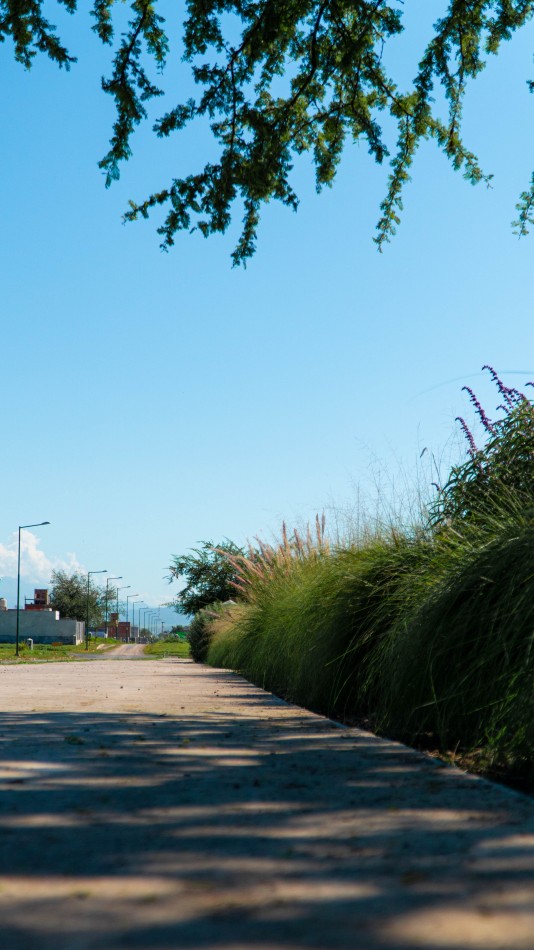 VIA AURELIA URBANIZACION