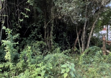 Venta hermoso terreno en vaqueros 1600 m2 aprox. A 8 min del puente sobre por calle los Gauchos. Zona alta. Escriturada